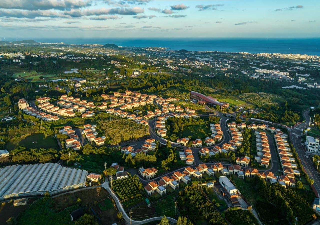 Camphortree Hotel And Resort Jeju Exterior photo